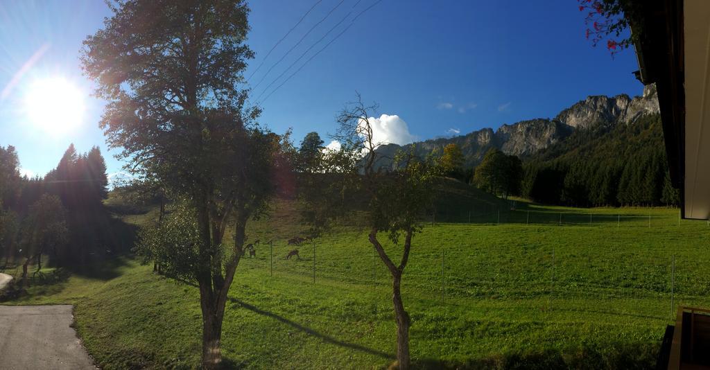 Hotel Berghof Haselsberger Sankt Johann in Tirol Zewnętrze zdjęcie