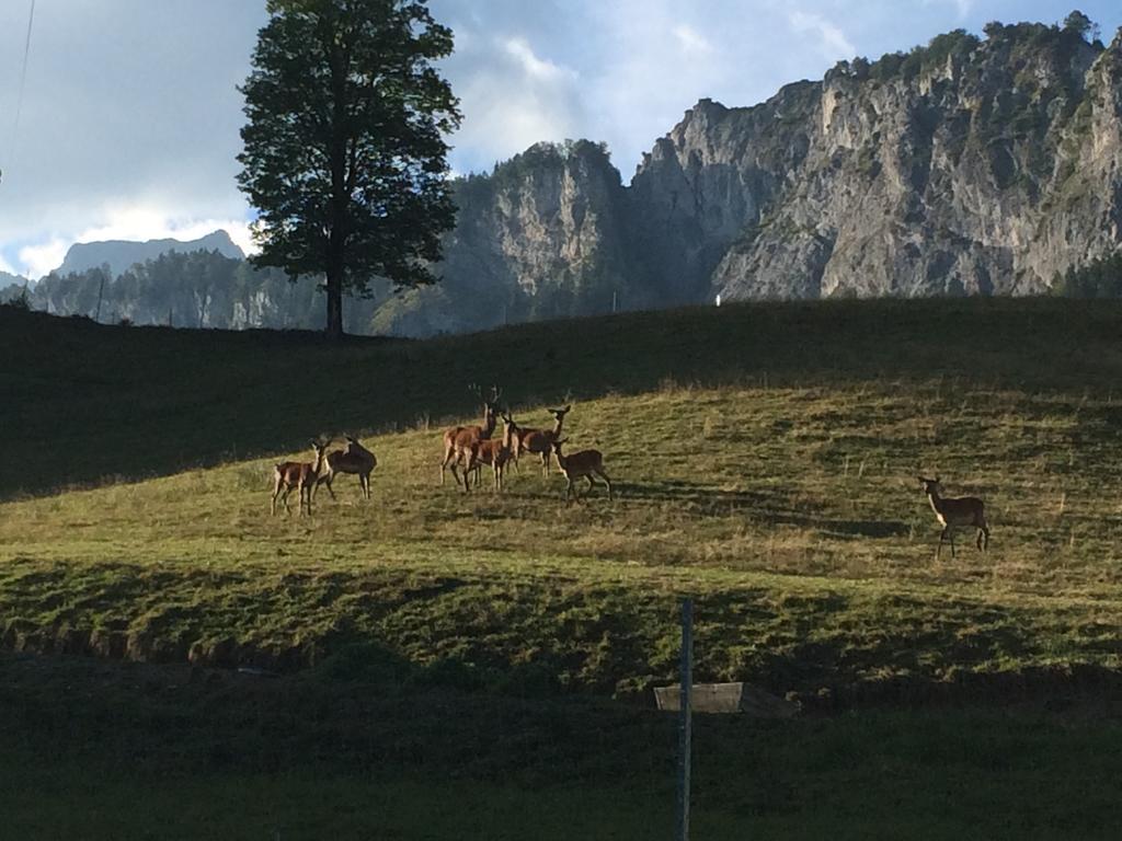 Hotel Berghof Haselsberger Sankt Johann in Tirol Zewnętrze zdjęcie