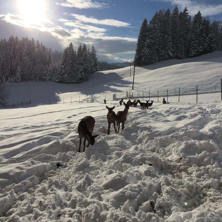 Hotel Berghof Haselsberger Sankt Johann in Tirol Zewnętrze zdjęcie