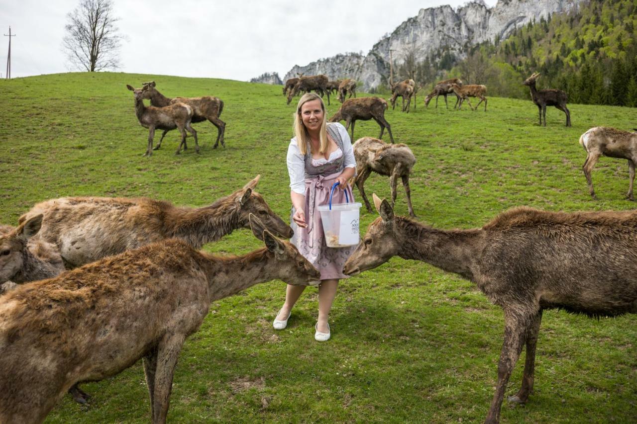 Hotel Berghof Haselsberger Sankt Johann in Tirol Zewnętrze zdjęcie